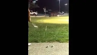 Spin Pitch Shot from the Asphalt Cart Path