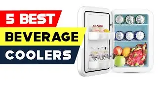 Top 5 Mini Beverage Coolers of 2023!