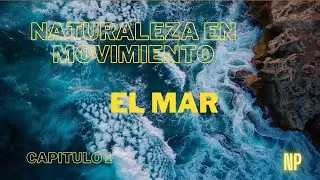 🌊NATURALEZA EN MOVIMIENTO: Un Viaje Sensorial 🐚