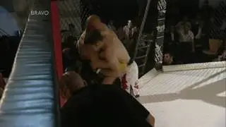 BAMMA: Abdul Mohamed Vs Tim Radcliffe Round 1