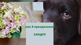 КАК Я ПРЕОДОЛЕВАЮ ХАНДРУ покупки пересадки разговоры