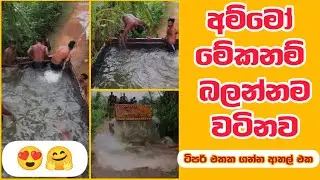 😲 සමාජෙට බම්බු ගහගන්න කියල,ජීවෙතෙ විදින කොල්ලො මේං 🤗