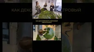 Как создать вечнозеленый светильник? 🌱