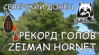 Русская рыбалка 4. р. Северский Донец. Фарм: Zeiman Hornet.