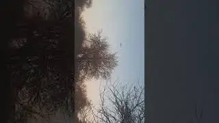 Вертолеты летят откуда и куда не понятно