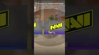 From 1 capsule fell out Natus Vincere (Holo) | Paris 2023 #cs2#gaming
