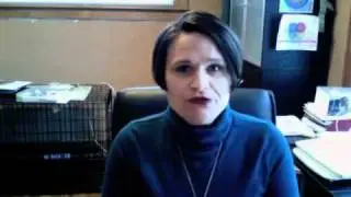 Social Media Content