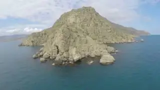 Весна. Крым. Дикая природа