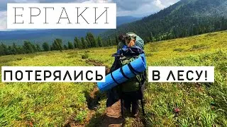 Ергаки. Переход в одиночку. Потерялись в лесу! Следы медведей!Озеро Светлое, перевал Тушканчик.