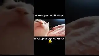 создал бит во время монтажа 😅 #thunderfox #music #mindustry #trending #bit #shorts #short