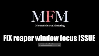 REAPER DAW Window focus clarified/fixed.  From the 