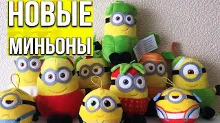 Новые Миньоны в Магните ПЕРЕЦ и АВОКАДО! Акции Магнит Грювитация! Охота на Миньонов