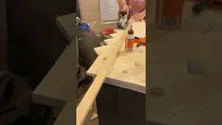 DIY Mini Fridge Bar Cabinet!