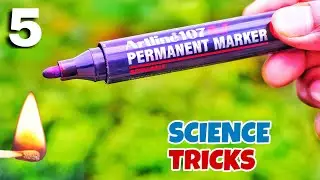 5 Mind Blowing Science Experiments By VisioNil