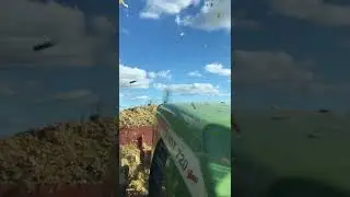 Заготовка силоса