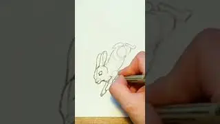 Как нарисовать кролика 