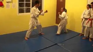 ICHIKAWA KARATE DO_MIGUEL & ANDREA 1