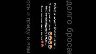 котенку не было месяца... 😭😭💔за что мне такое.. 💔😭