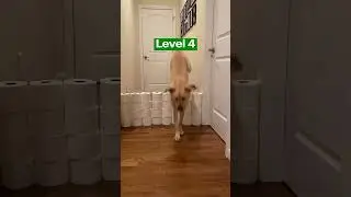 What should Magnus jump over next?