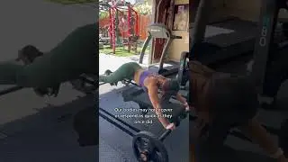 Fit over 50 is not impossible