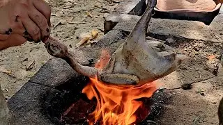 NATIVE TINOLA SA LABONG | PAGKAING BUKID | OUTDOOR COOKING |Team AgustinTV