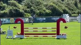 Fape Horlaloi, gelding 2017 by Untouchable x Arc de Triomphe