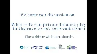 What role does private finance play in the race to net zero emissions?