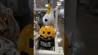 Peanuts at TJ Maxx! #katslivnlarge #tjmaxx #snoopy #halloweendecor #fypyoutube #fypシ゚viral #fypage