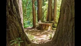 OVY Camp Wedding Venue Walkthrough