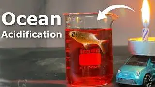Is my car killing the ocean?
