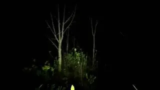 roy purdy - lost nights (deleted track)