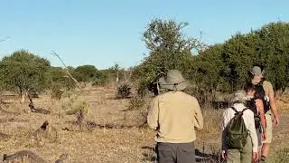 Adventure Walks In AFRICAN Wilderness