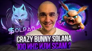 CRAZY BUNNY - ПРЕСЕЙЛ В СЕТИ SOLANA СТОИТ ЛИ ПОКУПАТЬ ?