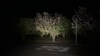 night driving back view for green screen