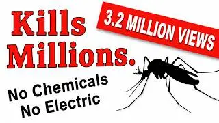 MOSQUITO CONTROL THAT WORKS, #1 Best Method