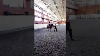 Прогулка на лошадке, выпускной (4 класс)