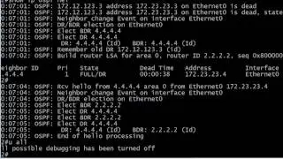 263 Passive Interfaces