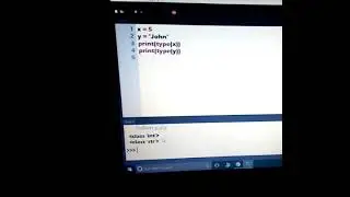 Python Type () Function , How to get type of data in Python , get type in Python , Python tutorial