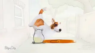 стоп что-то тут не так