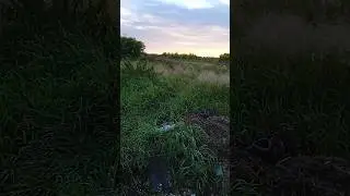 Вечерний выезд по мокрой травке.