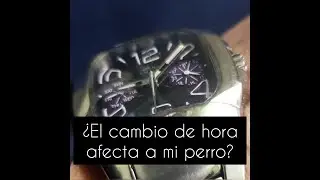 ¿Afecta el cambio de hora a mi perro?