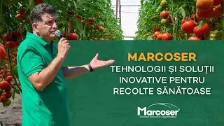 Consultanță, Tehnologii și Soluții Inovative la Marcoser - Kilometrul 0 al Legumiculturii