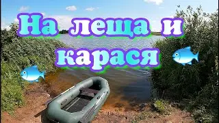 На леща и карася с резинками