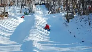 Штыковские пруды. Гуляем по парку. Декабрь 2016