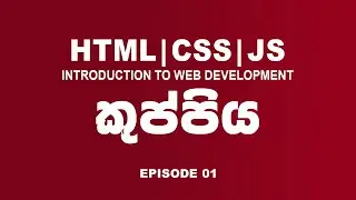 Learn HTML Basics: Introduction to HTML and Basic Tags