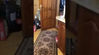 #подаймнелень РОС Бастер