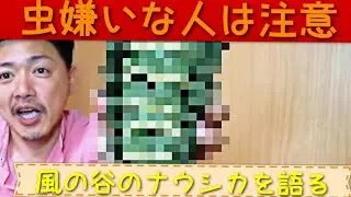 [虫がヤバい]風の谷のナウシカと王蟲の話 雄介的伝記