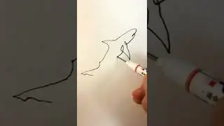 Shark 🦈 oneline #easydrawing #subscribe #shorts