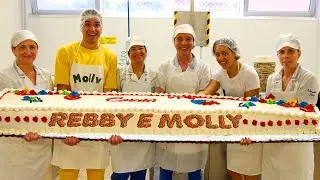 LET'S MAKE REBBY AND MOLLY'S GIANT CAKE