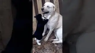 Обнимашки...
